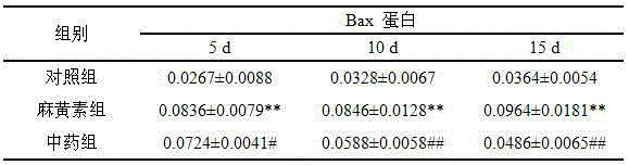 Traditional Chinese medicine composite for resisting ephedrine damage and production technology thereof