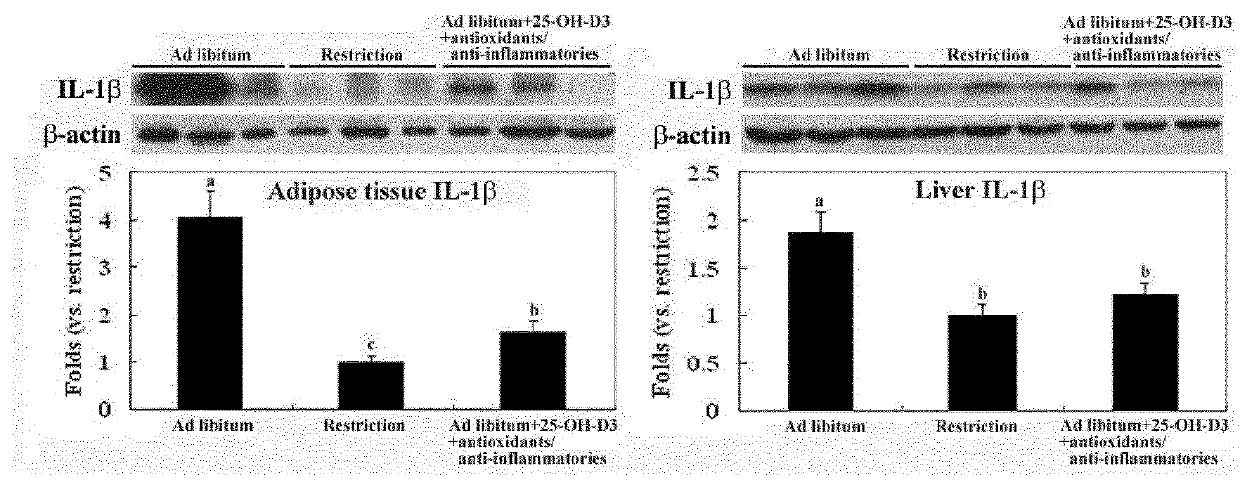 Combination of 25-hydroxyvitamin d and antioxidants/Anti-inflammatories for bovine health