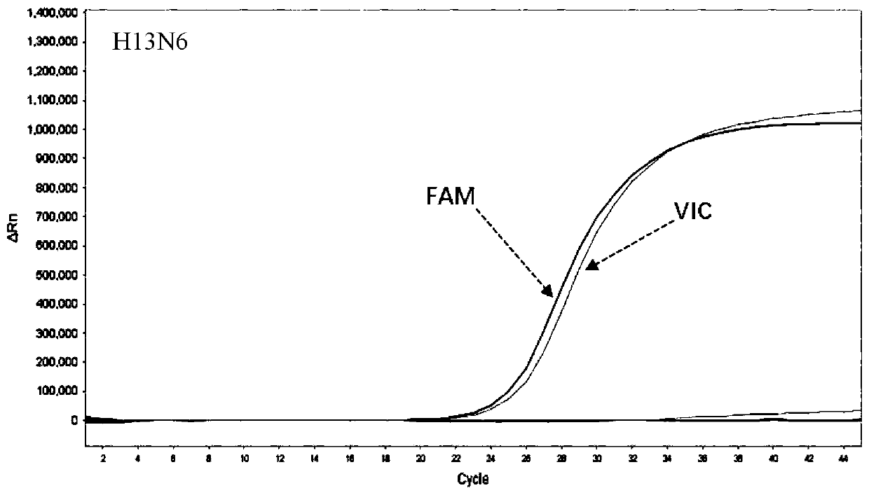 Joint detection kit and method of influenza A virus H8N7 and H13N6