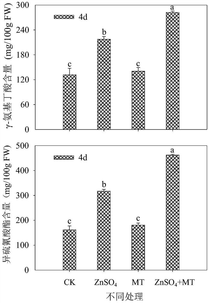 Production method for enriching content of gamma-aminobutyric acid and isothiocyanate in broccoli sprouting vegetables and increasing yield