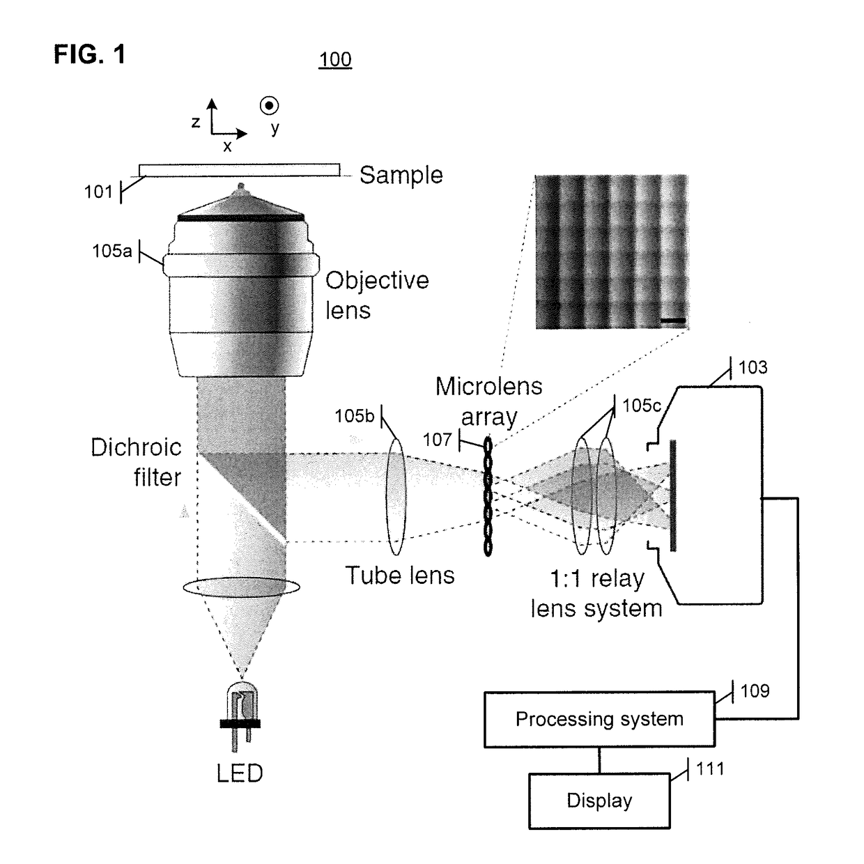 Enhancing the resolution of three dimensional video images formed using a light field microscope