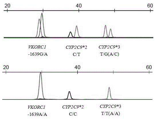 Primer and method for simultaneously detecting VKORC1 and CYP2C9 gene polymorphisms