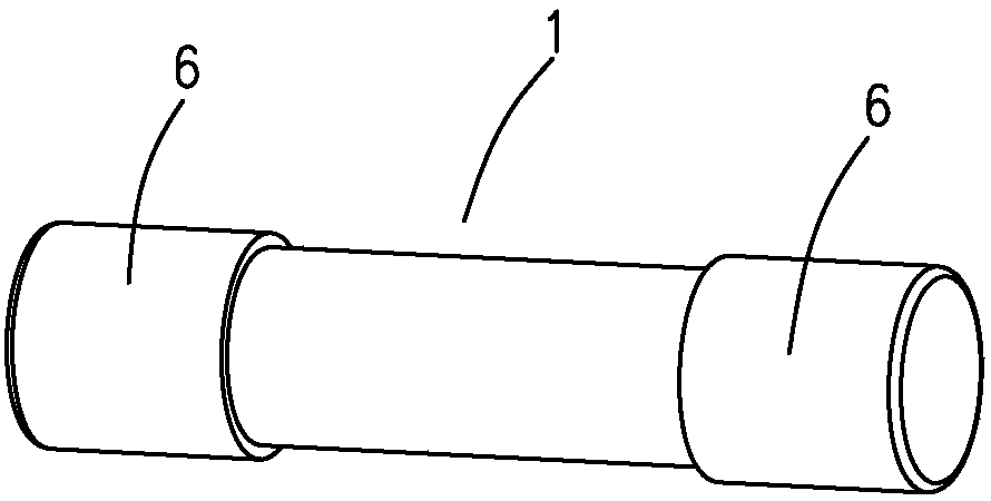 Fuse carrying device