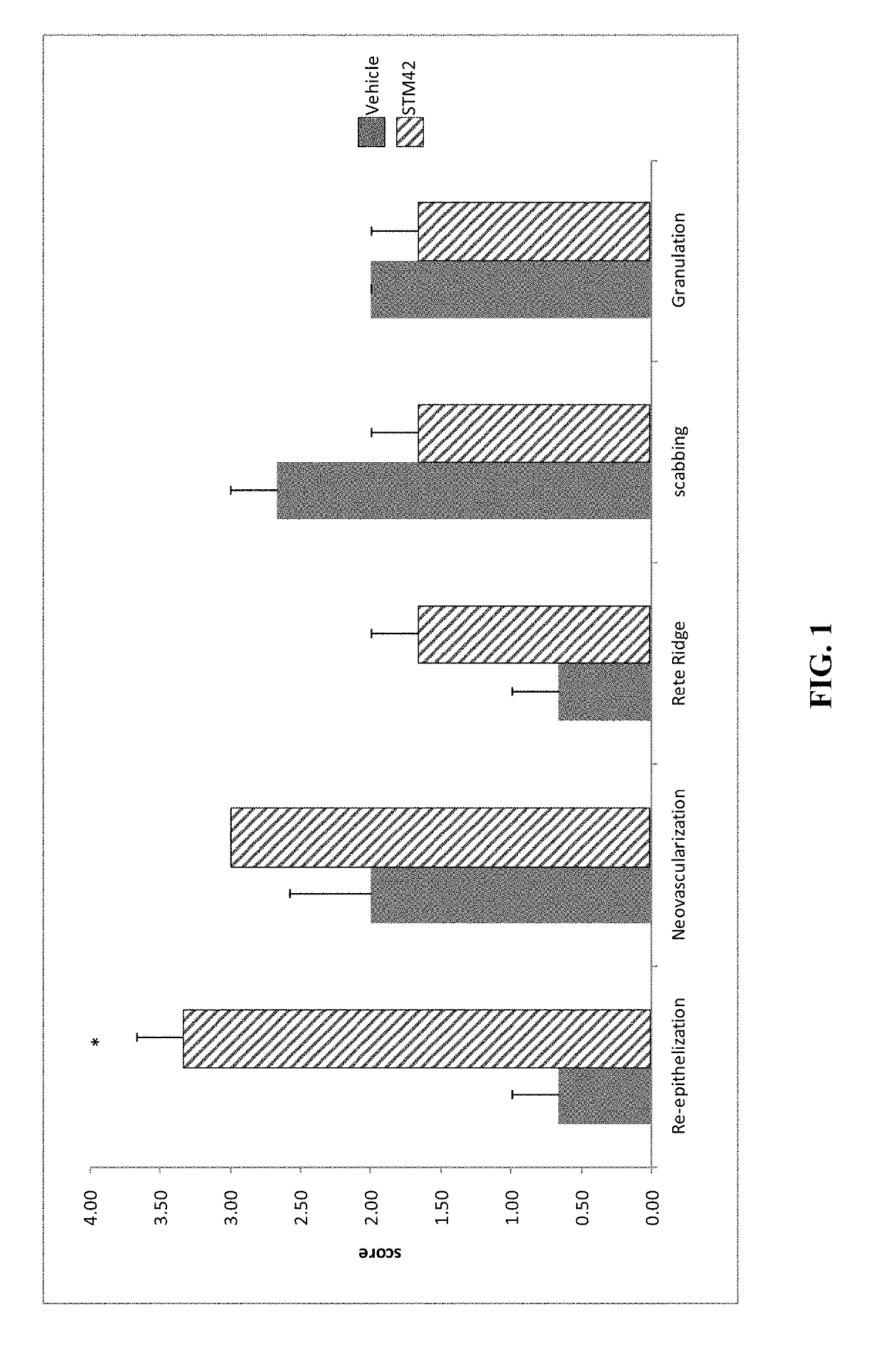 Compositions and Methods for Wound Treatment