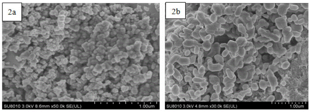 Chitosan-Nisin core-shell microspheres and preparation method and application thereof