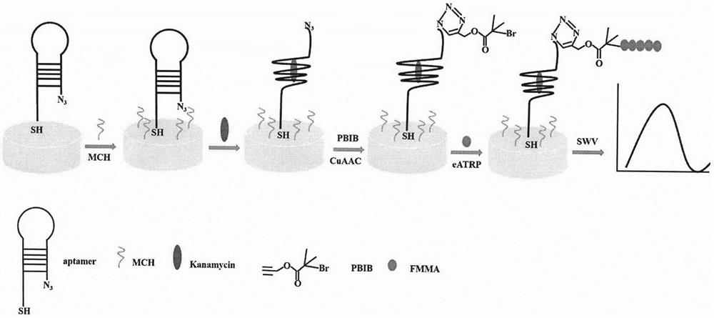 Kanamycin electrochemical detection method based on azido alkyne cycloaddition and electrochemical regulation of atom transfer radical polymerization