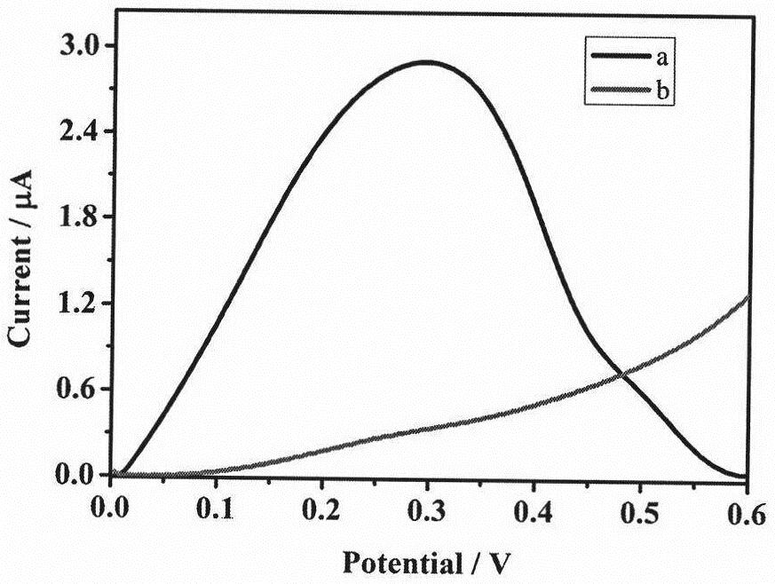 Kanamycin electrochemical detection method based on azido alkyne cycloaddition and electrochemical regulation of atom transfer radical polymerization