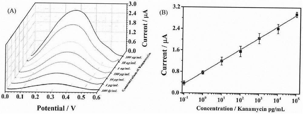 Kanamycin electrochemical detection method based on azido alkyne cycloaddition and electrochemical regulation of atom transfer radical polymerization