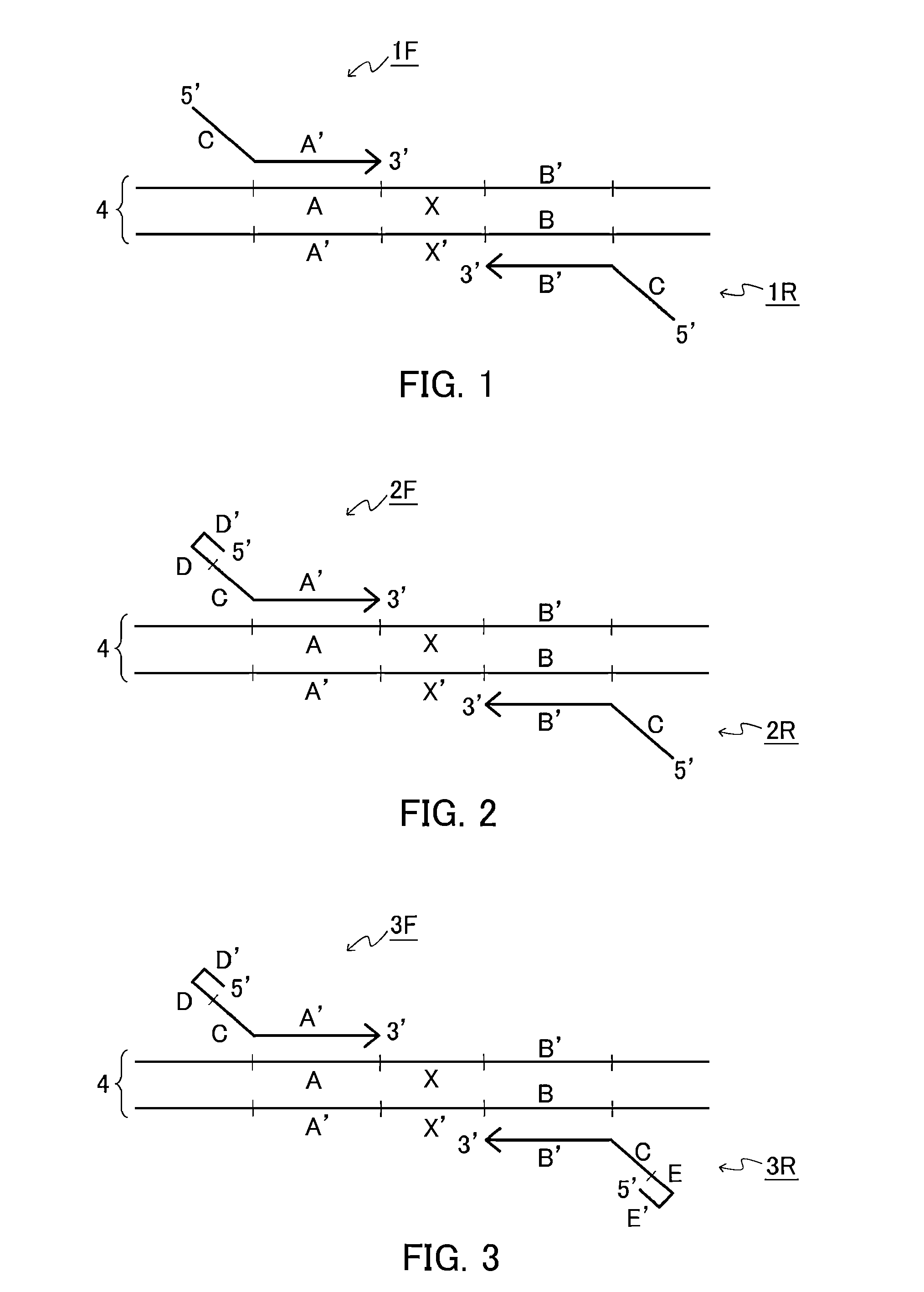 Primer set, method for amplifying target nucleic acid sequence using same, and method for detecting mutated nucleic acid using same