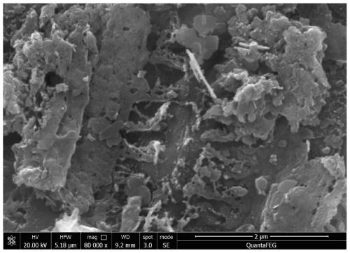 A method for preparing sludge activated carbon by activating municipal sludge with urine