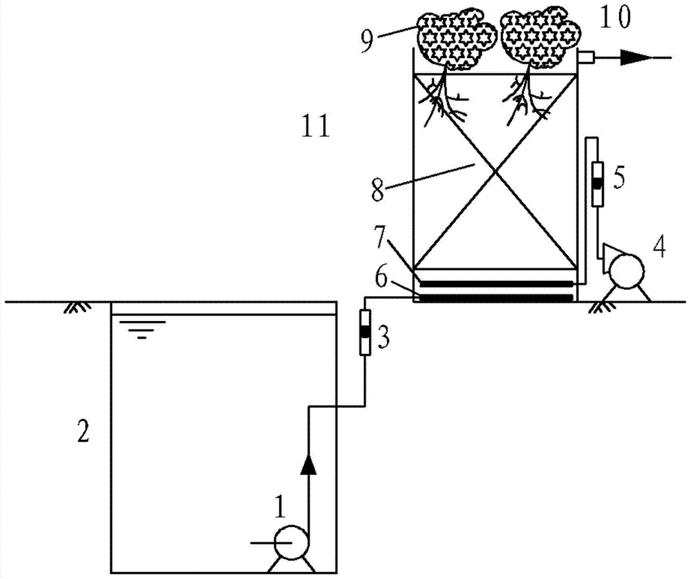 An ecological filter device and method for treating sewage