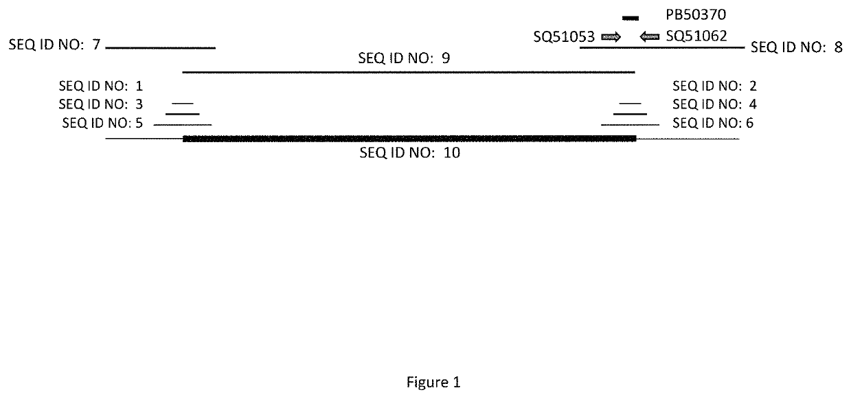 Maize event MON87429 and methods of use thereof