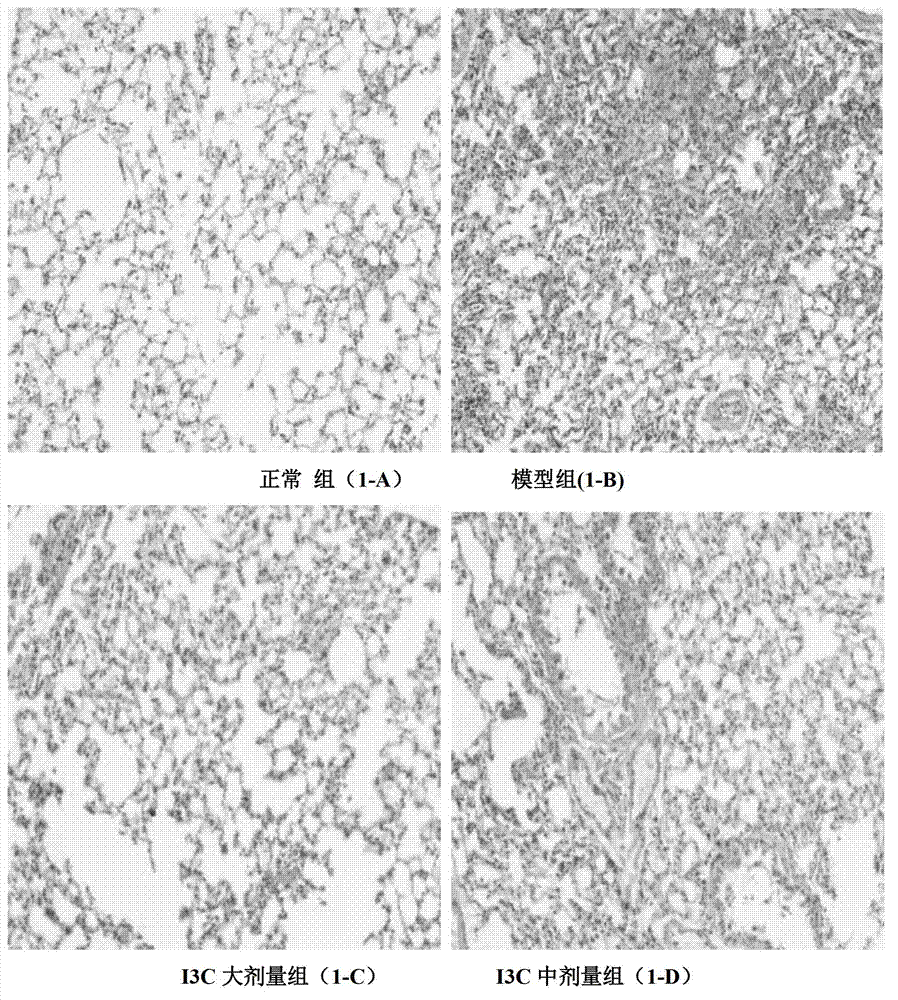 Application of indol-3-carbinol in preparation of medicine for treating experimental pulmonary fibrosis