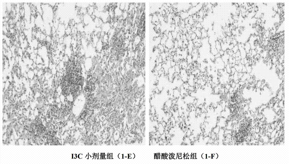 Application of indol-3-carbinol in preparation of medicine for treating experimental pulmonary fibrosis