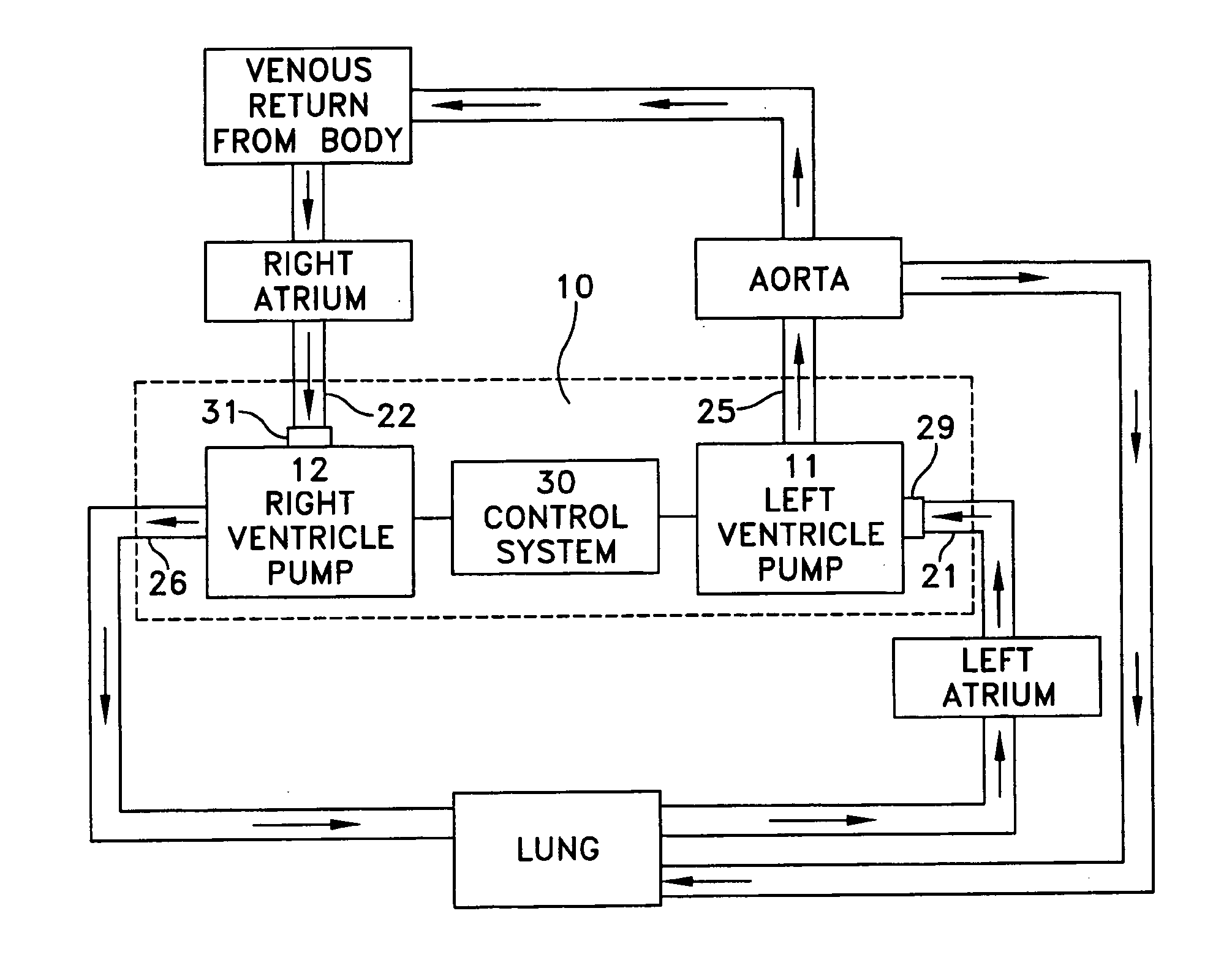 Method and apparatus for pumping blood