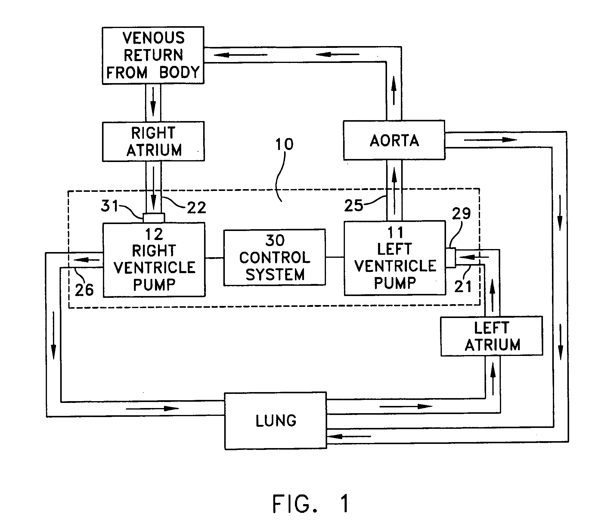 Method and apparatus for pumping blood