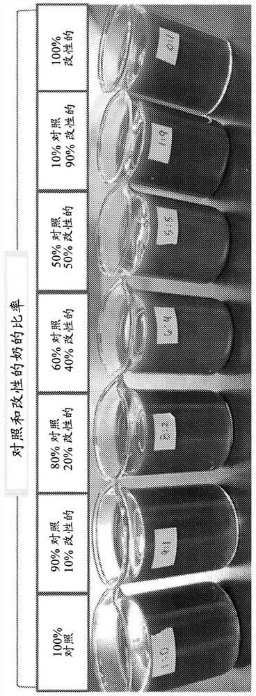 Non-dairy analogs with succinylated plant proteins and methods using such products