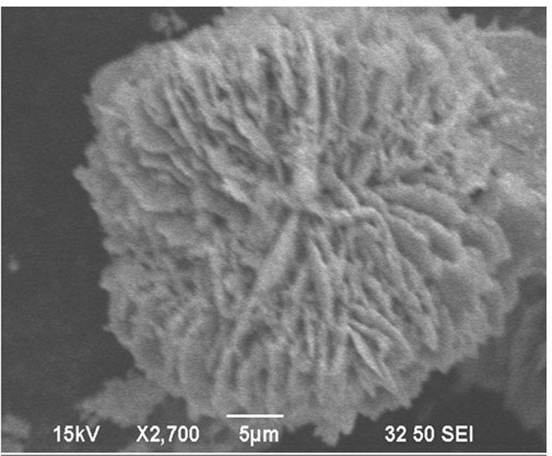 Method for preparing porous spherical stannous oxide nano material