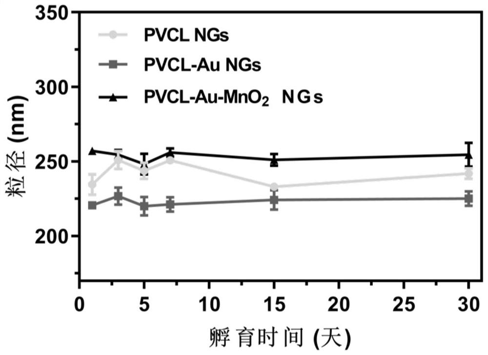 Poly (N-vinylcaprolactam) nanogel loaded with gold and manganese dioxide nanoparticles as well as preparation and application of poly (N-vinylcaprolactam) nanogel