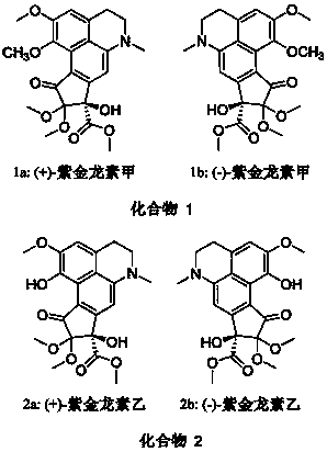 Dactylicapnos scandens derivative, pharmaceutical composition thereof, preparation method and application
