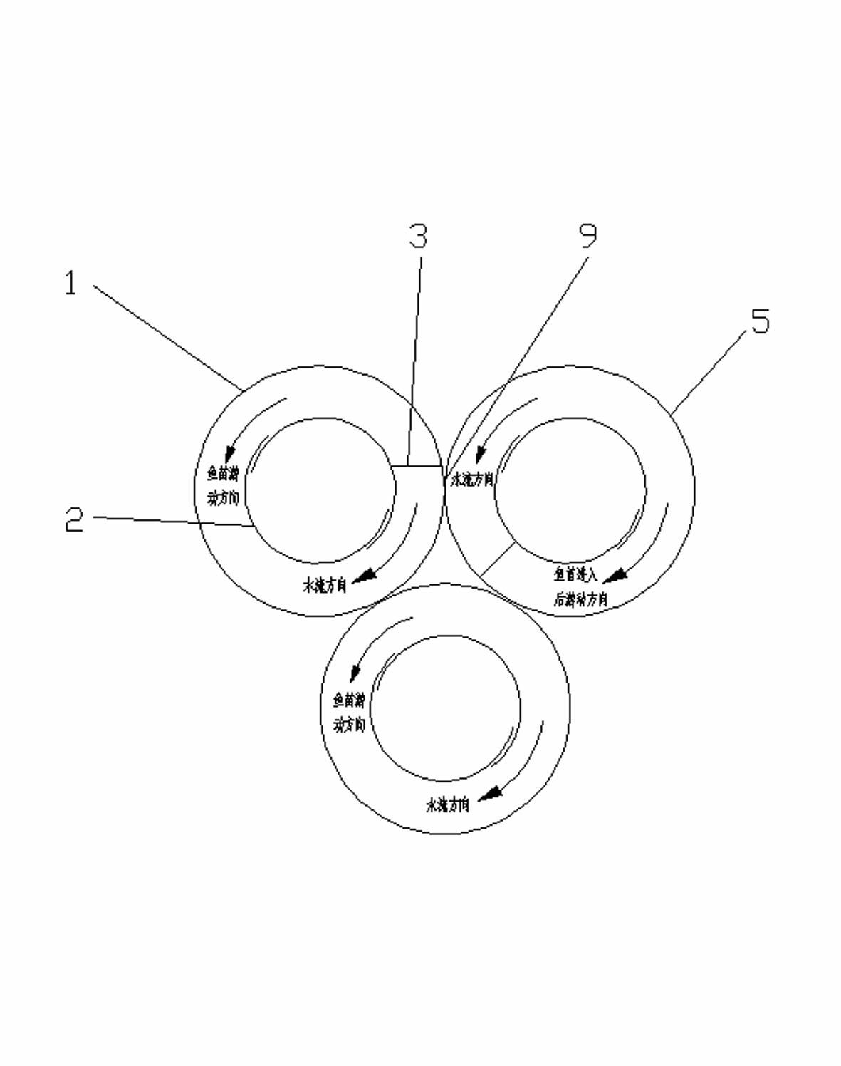 Blowfish culture system and application thereof