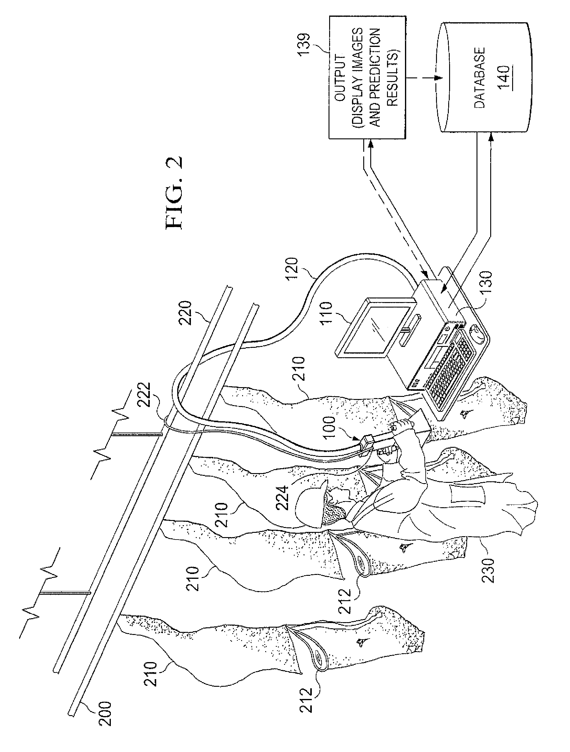 System and method for analyzing properties of meat using multispectral imaging