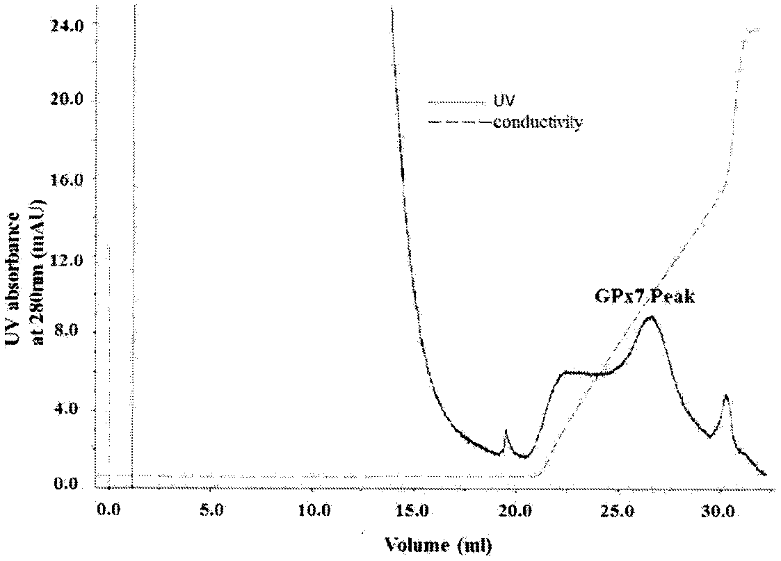 Method for preparing recombinant GPx7 (glutathione peroxidase) protein