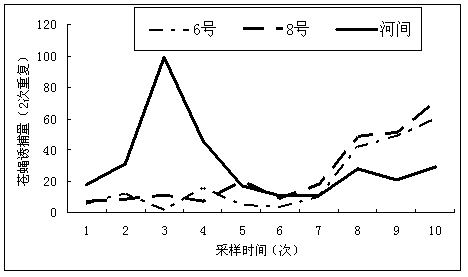 Fly gelatinous attractant and preparation method thereof