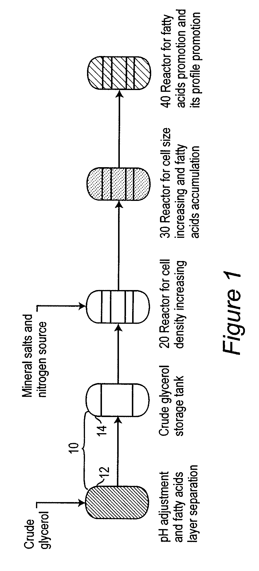 Heterotrophic algal high cell density production method and system