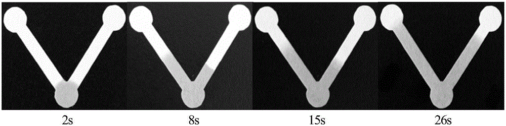 Paper chip used for chemiluminescence time resolution and manufacturing method thereof