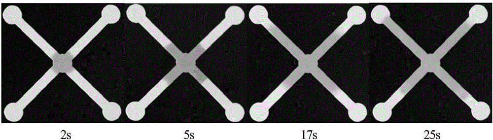 Paper chip used for chemiluminescence time resolution and manufacturing method thereof