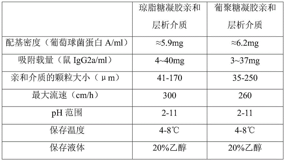 Recombinant staphylococcus protein A and application thereof