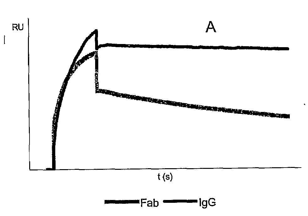 Method For Affinity Purification