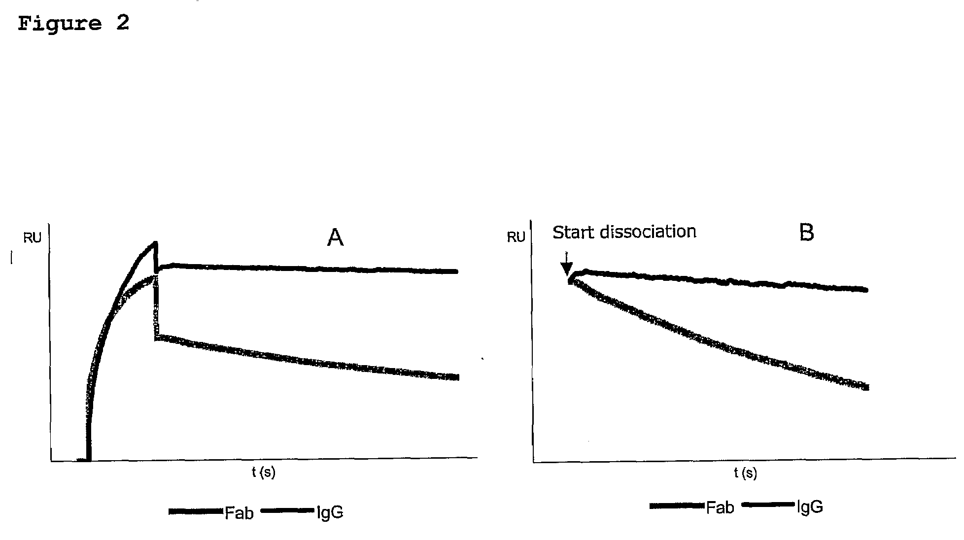 Method For Affinity Purification