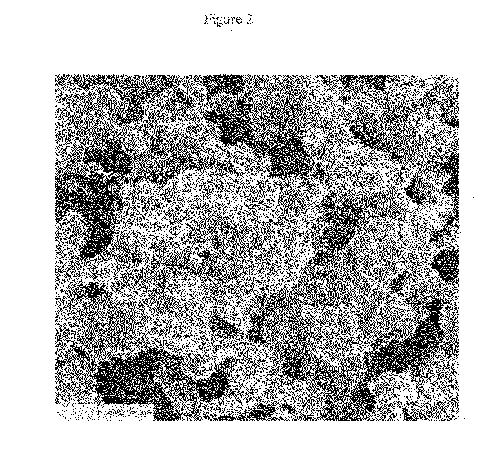 Method and composition to improve absorption of therapeutic agents