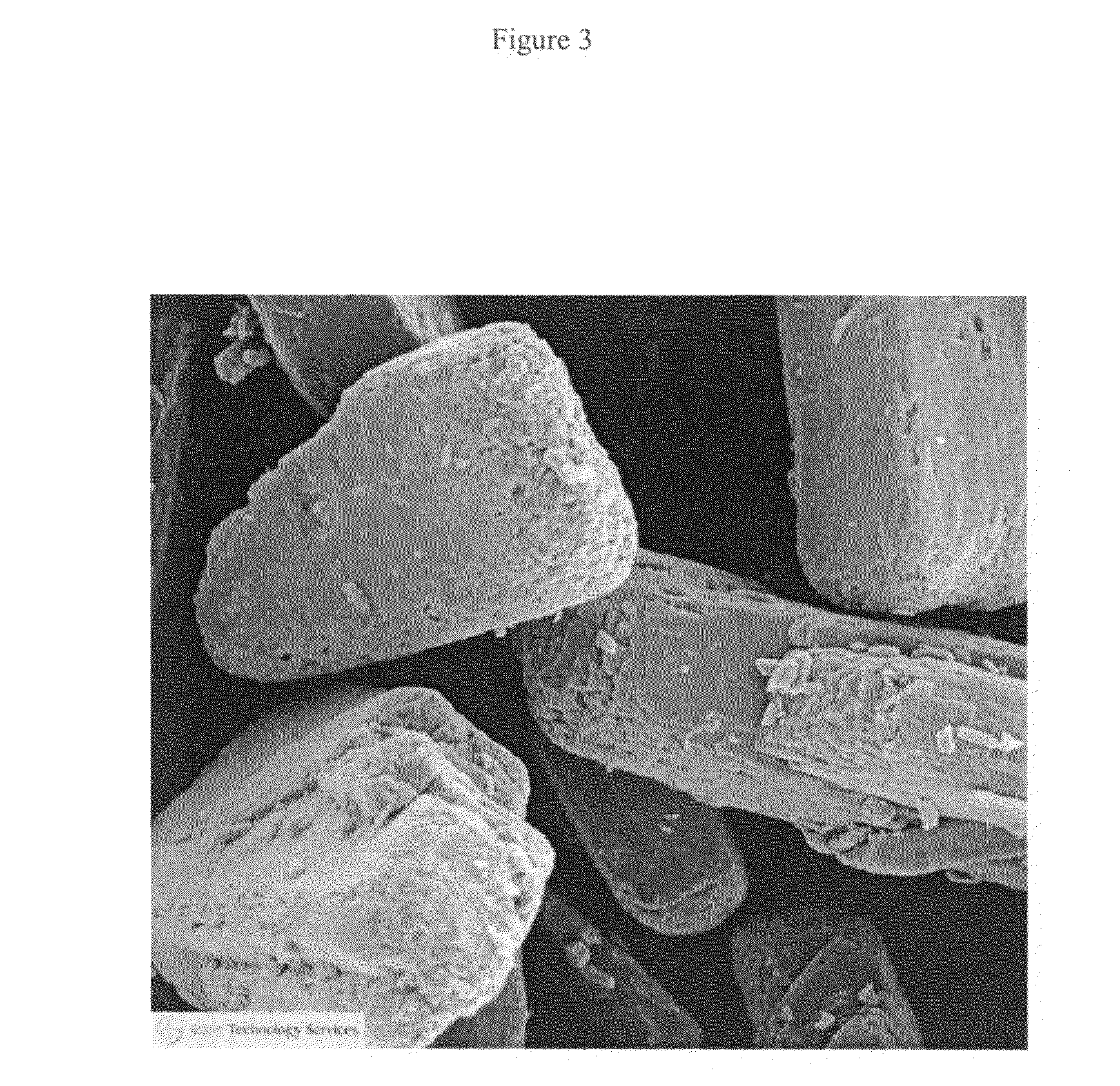 Method and composition to improve absorption of therapeutic agents