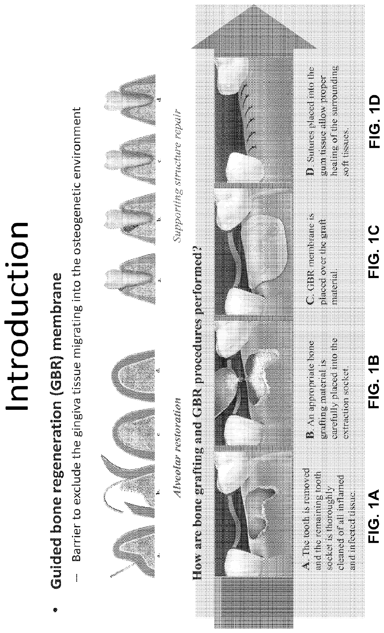 Chitosan nanofiber compositions, compositions comprising modified chitosan, and methods of use