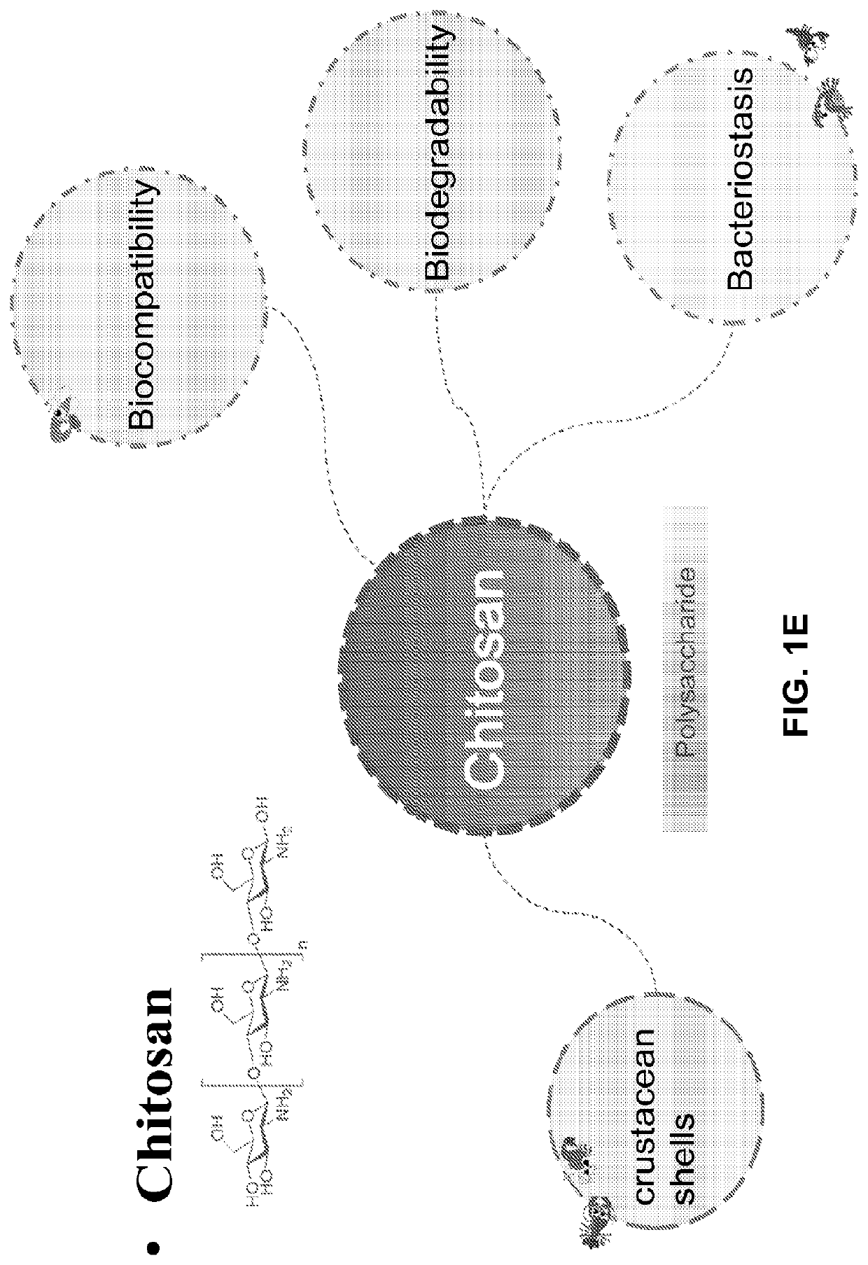 Chitosan nanofiber compositions, compositions comprising modified chitosan, and methods of use