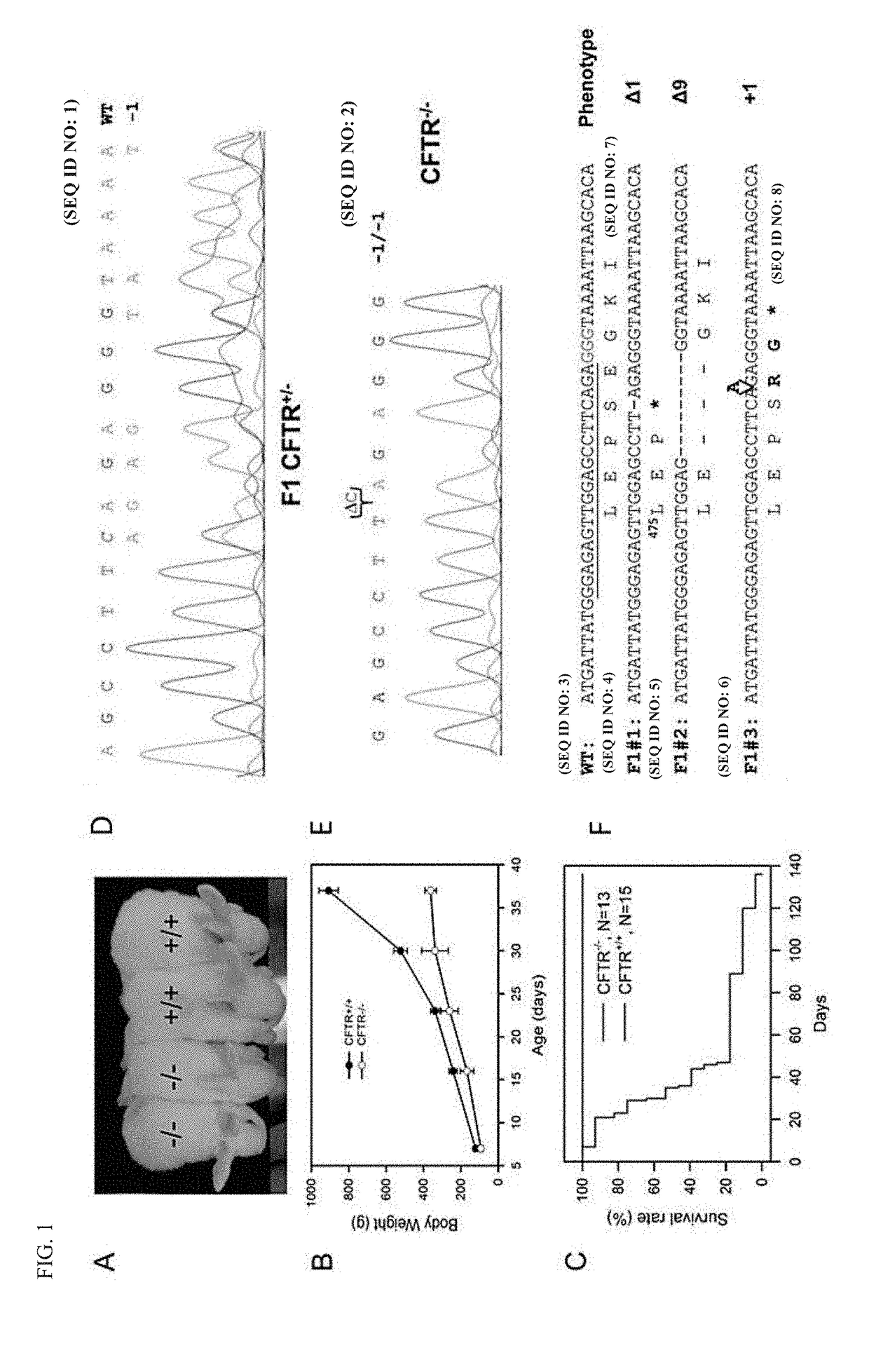 Transgenic animal models for cystic fibrosis