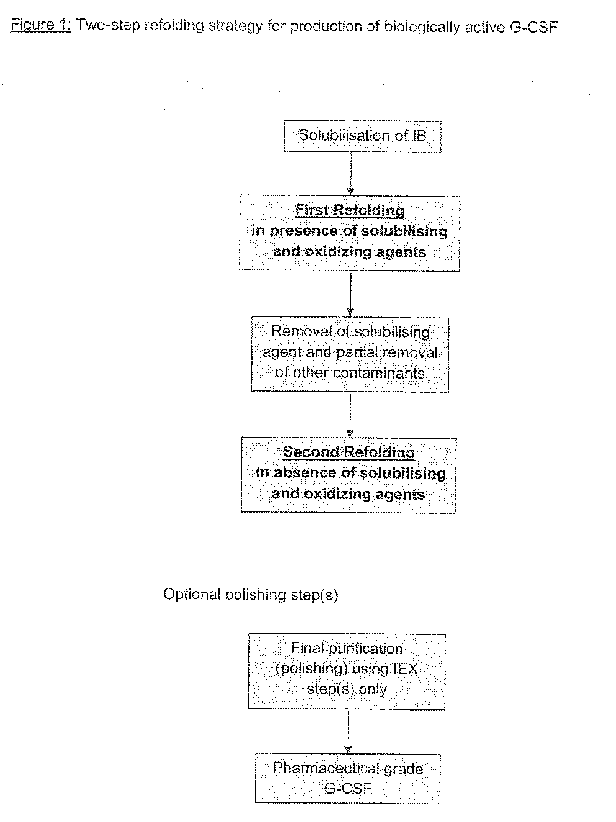 Methods for refolding g-csf from inclusion bodies