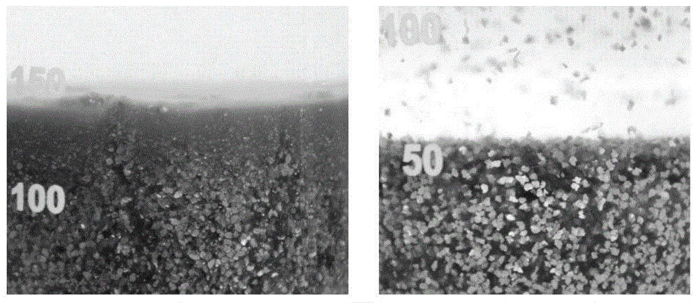 High-strength flexible graphene composite heat conduction film and preparation method thereof