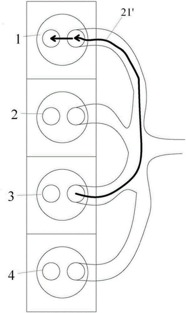 Exhaust structure capable of reducing exhaust disturbance between air cylinders of engine