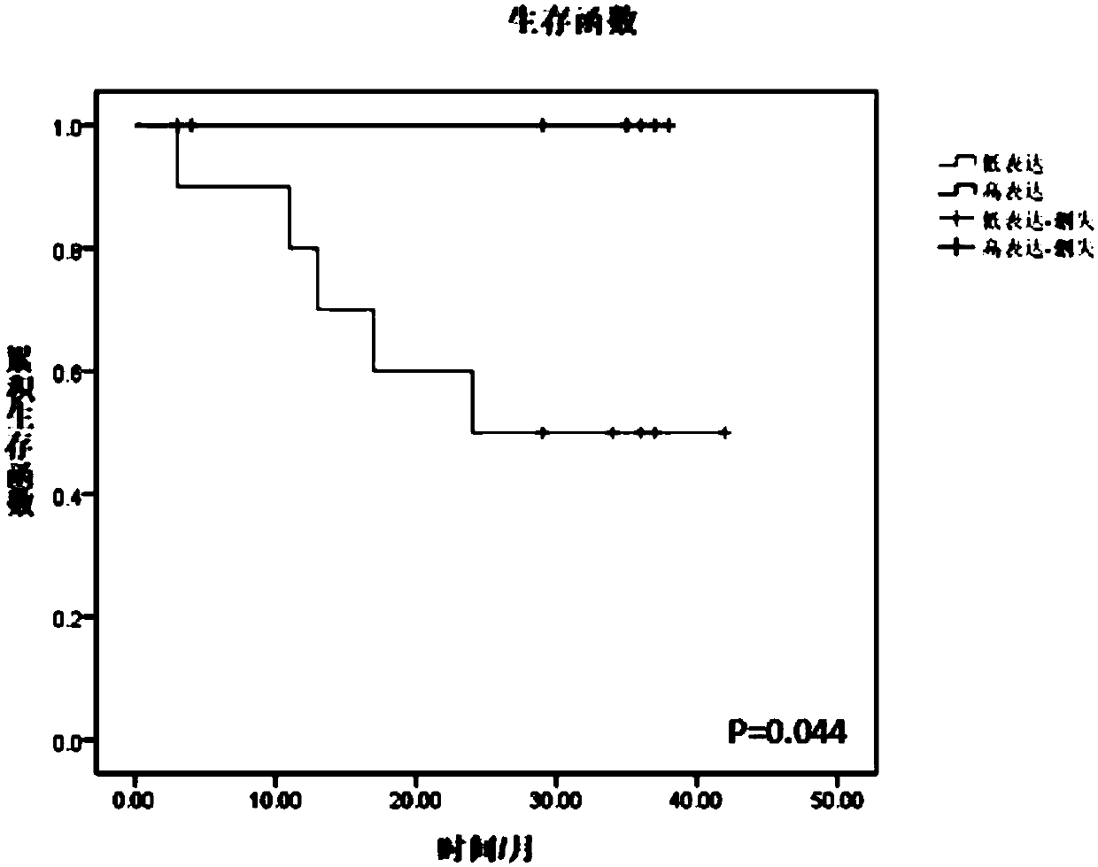 Application of glioma prognostic marker Circ9:135881633|135883078