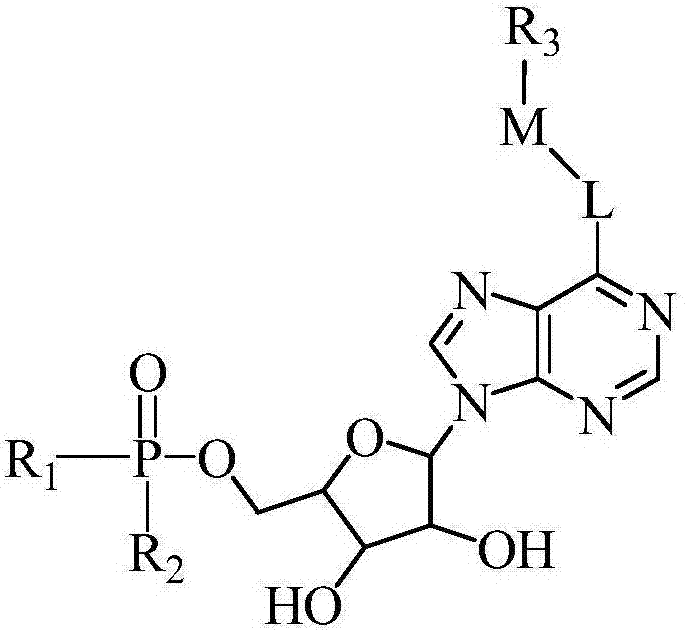 Fluorescent dyes containing high-energy phosphate bonds