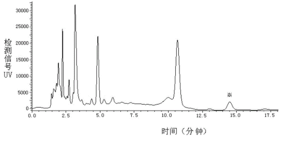 Method for extracting and separating cordycepin