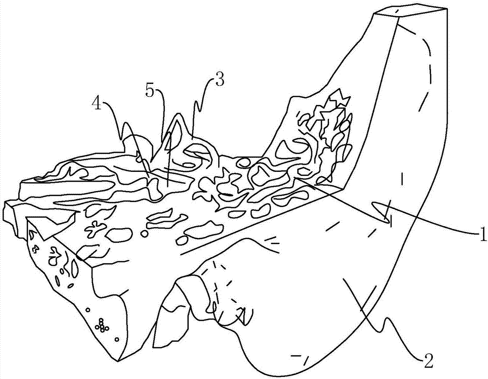 Temporal bone model for surgery training and forming method thereof