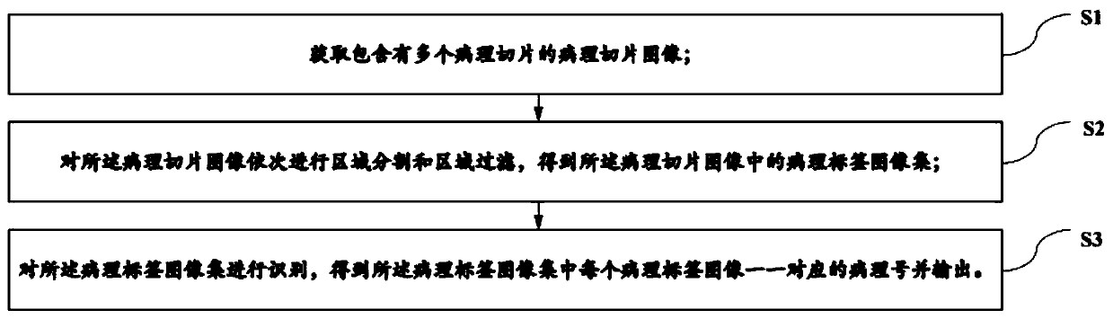 Slice pathological number identification method, system, device and storage medium