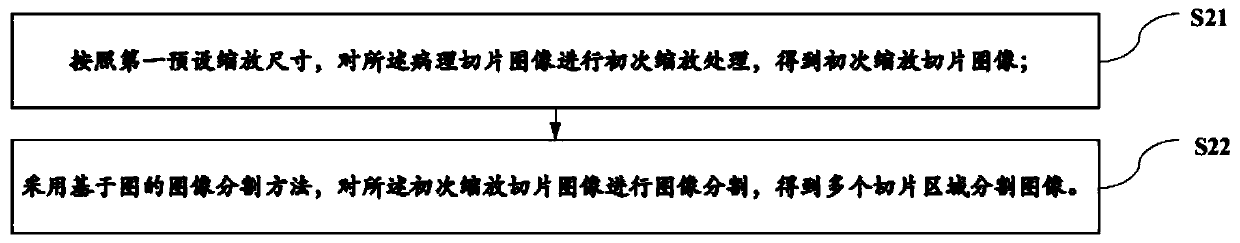 Slice pathological number identification method, system, device and storage medium