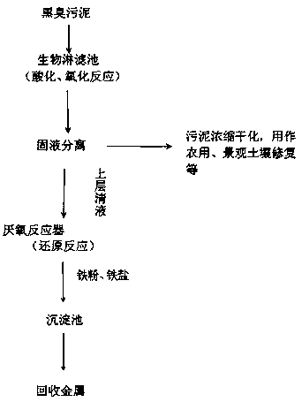 Black and odorous sludge treatment method