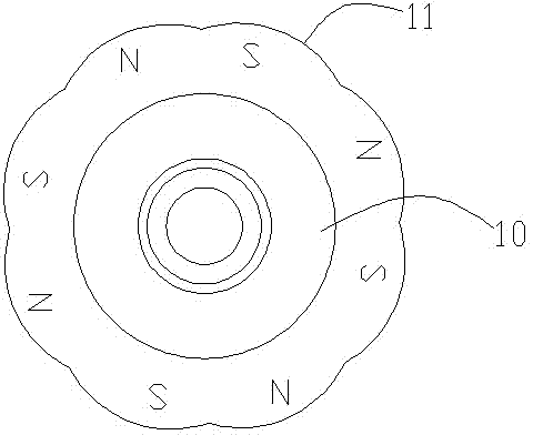 Novel rotor of brushless direct current motor